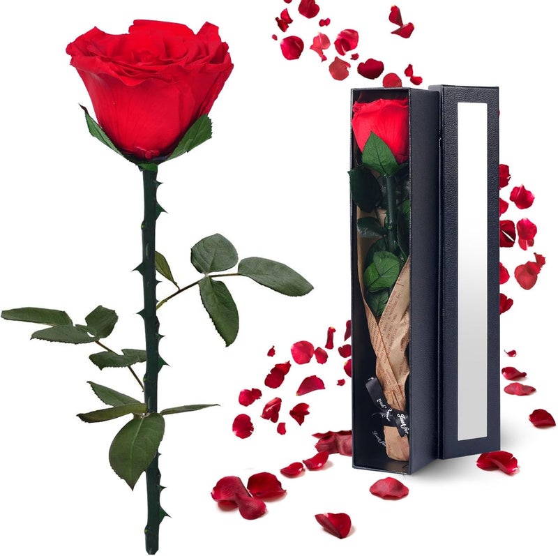 YAMPP Flowers for Delivery Prime Gifts for Women: Preserved Rose Gifts for Mom Wife Grandma Birthday Single Rose Red - Image 1