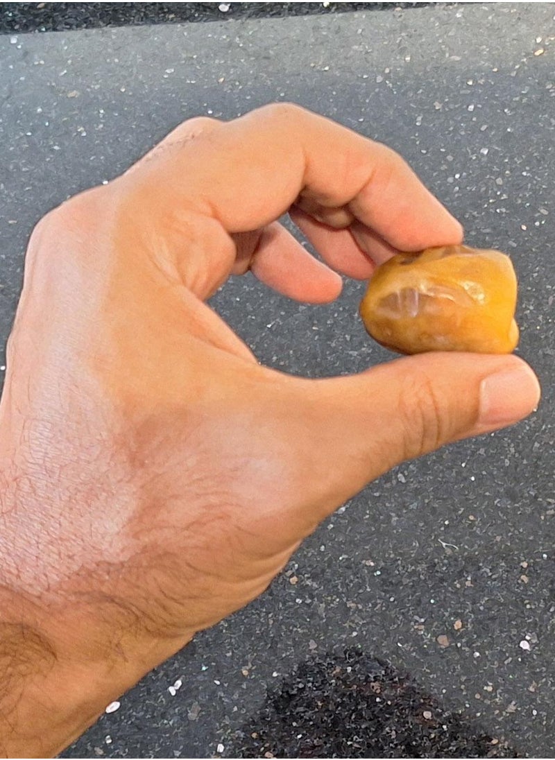 Dates Sukari - Malaky - 1 kg  - Image 2