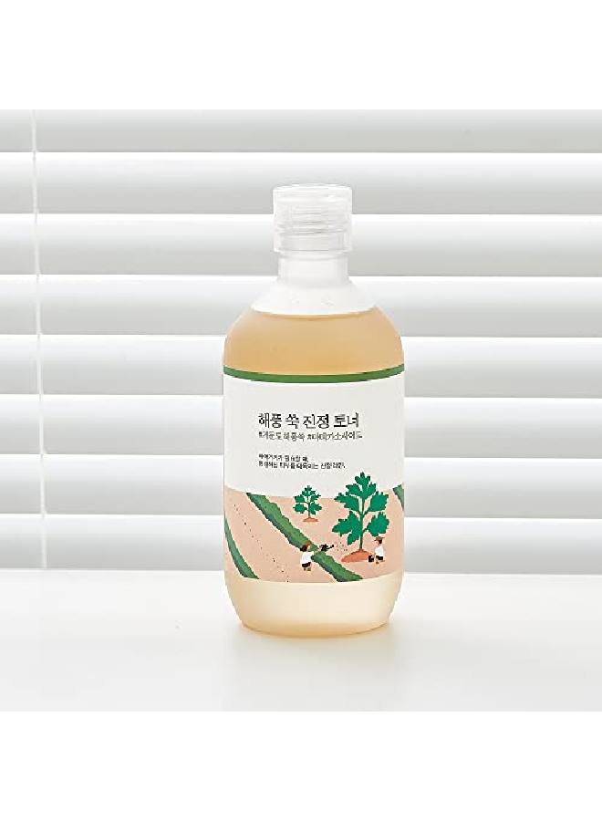 ROUND LAB تونر ماغوورت المهدئ 300 مل / تونر ماء ميدكاسوسيد المهدئ - Image 4