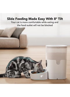 Automatic Cat Feeder, Automatic Cat Food Dispenser With Timer Interactive Voice Recorder, Auto Cat Feeder With 14 Meals Control Dry Food, White Transparent - pzsku/Z72DE037F945EB38AFAC9Z/45/_/1726221561/710145fa-b14b-4d78-a1b8-4b3da5436b53