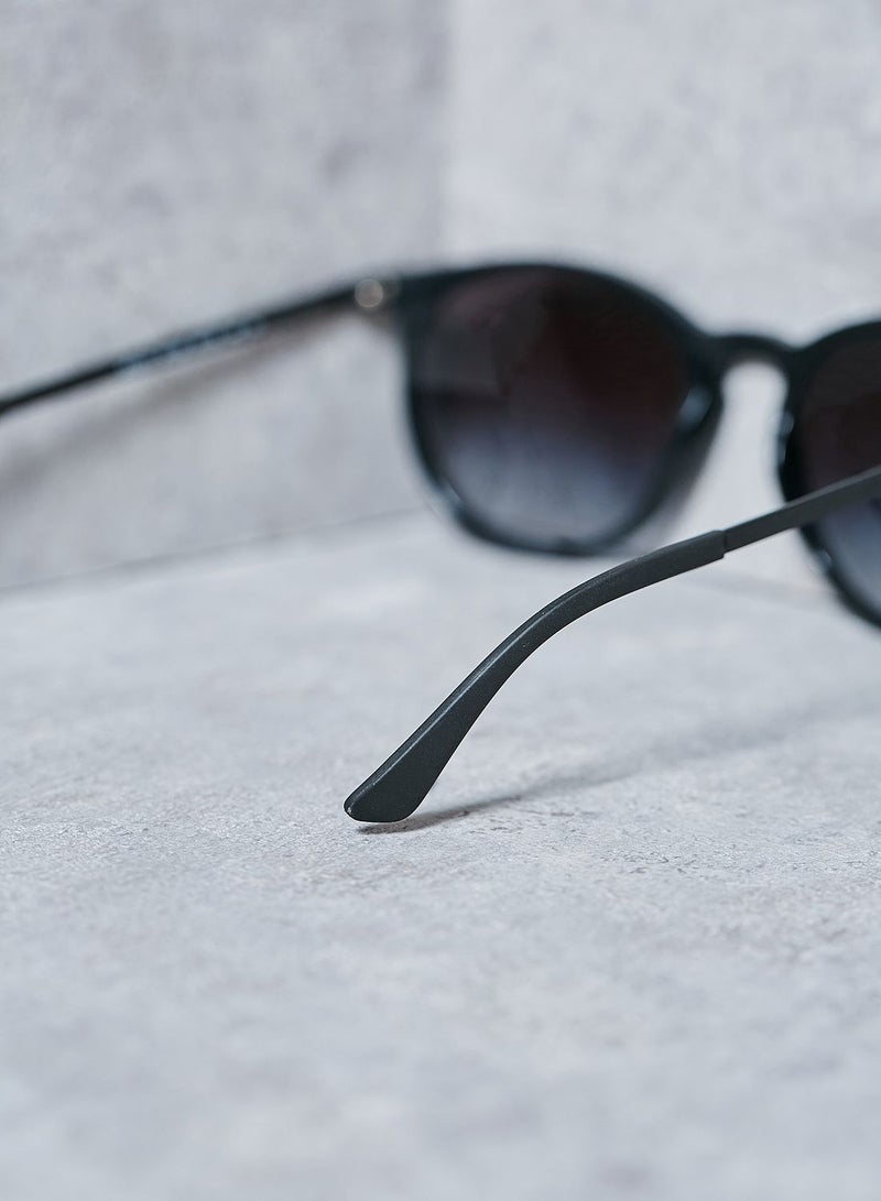 0RB4274 Erika Sunglasses