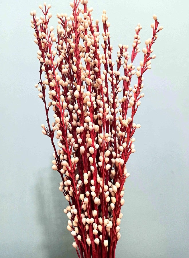 Palesaa Cornea Handmade Dry Flower Sticks (Multicolour) - Image 2
