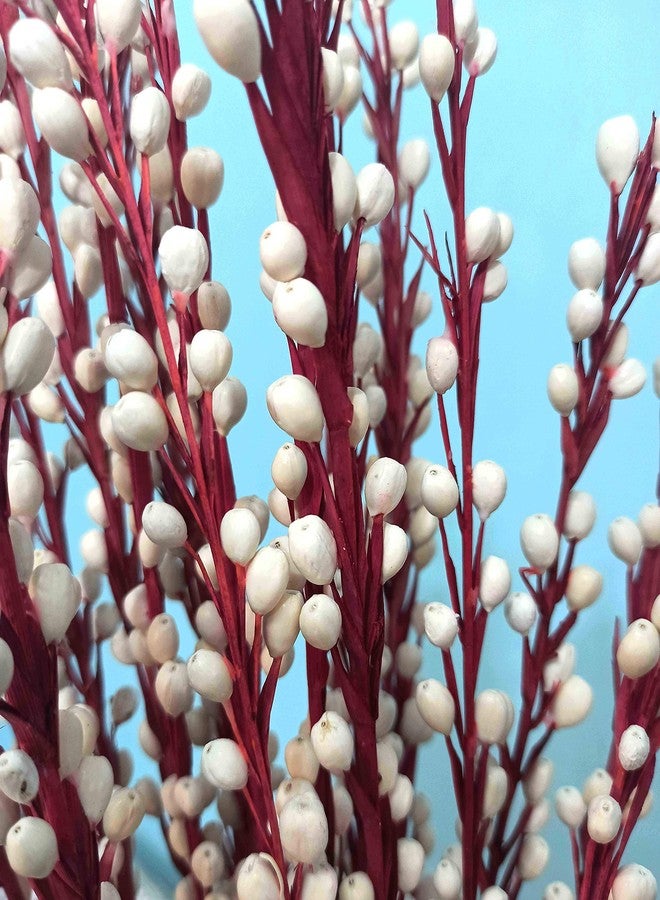 Palesaa Cornea Handmade Dry Flower Sticks (Multicolour) - Image 4