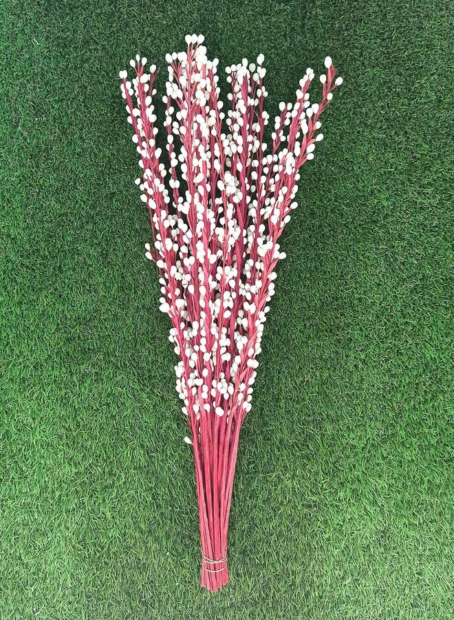 Palesaa Cornea Handmade Dry Flower Sticks (Multicolour) - Image 1