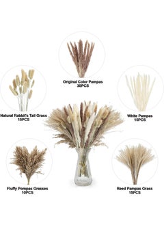 ماركة غير محددة المجففة Pampas العشب المجفف زهرة صغيرة بوص بوهيميا الزهور الطبيعية للزينة المنزلية زهرة غرفة المعيشة شرفة حفل زفاف ترتيب ذيل الأرنب الأبيض ريد 