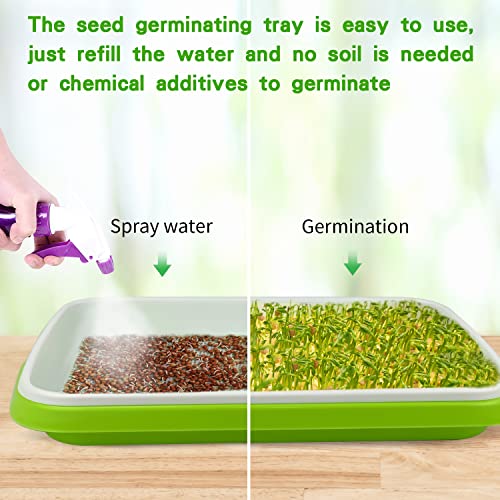 SDLDEER Seed Sprouting Tray, Microgreens Growing Trays Big Capacity Sprouts Growing Kit Soil-Free Sprouter Tray for Sprouting Seeds, Beans, Wheatgrass (Green-3) - Image 3