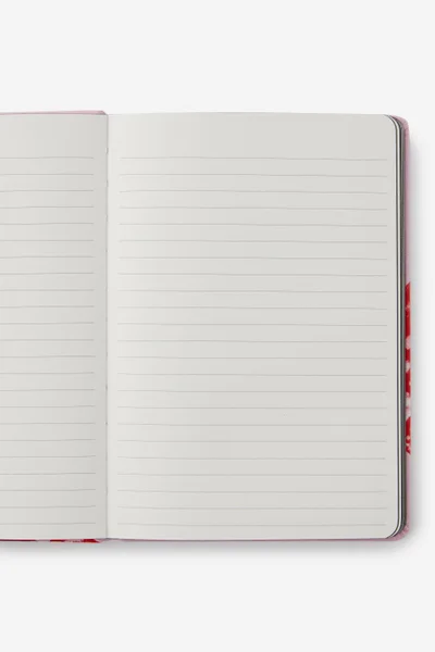 تايبو دفتر بوفالو