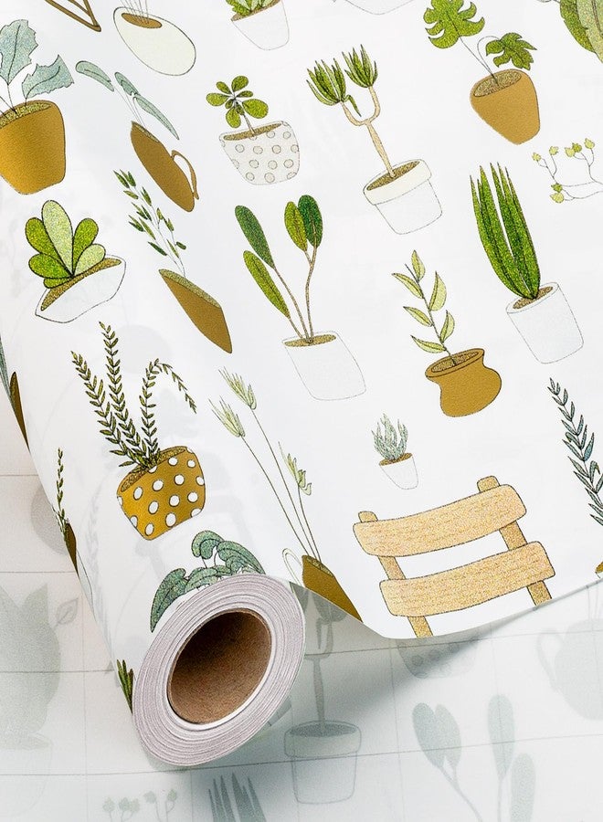 MAYPLUSS Multi Plants Wrapping Paper Roll - 17Inch X 33Feet - Elegant Luxury Thick Gardener Potted Theme Gift Wrap Stone Paper for Plant Lover, Birthday, Holiday, Party Decor - Image 1