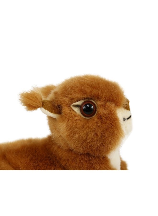 Ice King Bear Reaistic Red Squirrel Stuffed Animal Plush Toy (Original) - Image 5