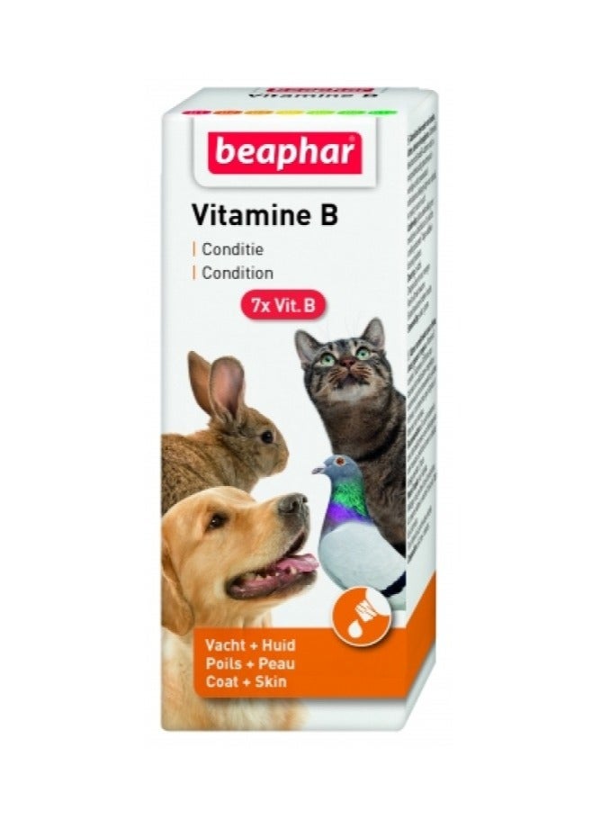 بيفار فيتامين ب المركب للحيوانات الأليفة - 50 مل