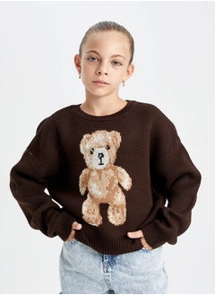 DeFacto Girl Oversize Fit Crew Neck Long Sleeve Tricot Pullover  - Image 4