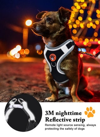 Small Dog Harness No Pull, Adjustable Dog Strap, Easy Control Padded Dog Vest Harness, Reflective No-Pull Pet Harness for Outdoor Walking，Training - view 5