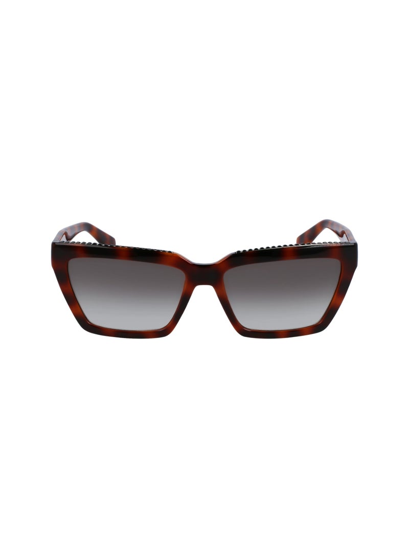 Liu Jo إطار كامل بيولوجي إن جي 820 حقن ليو جو صنز LJ793SR 5716 (240) سلحفاة - Image 2