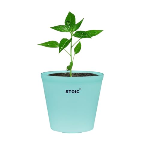 Stoic Nursery Planter Pot Indoor and Outdoor 4 inches Plastic Flower Pots for Home/Office/Table/Garden/Balcony Decoration Pack of 24 Aqua Green - Image 4