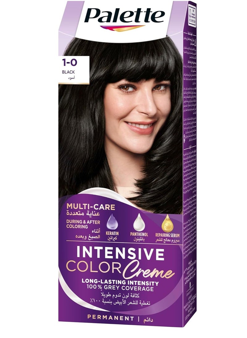 Palette Palette Icc 1.0 Intense Black, 50ml  - Image 1