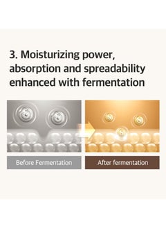 mixsoon Bean Essence 1.69 Fl Oz / 50Ml ; Natural Fermented Soybean Serum For Moisturization And Skin Nourishment, Cruelty Free  - Image 4
