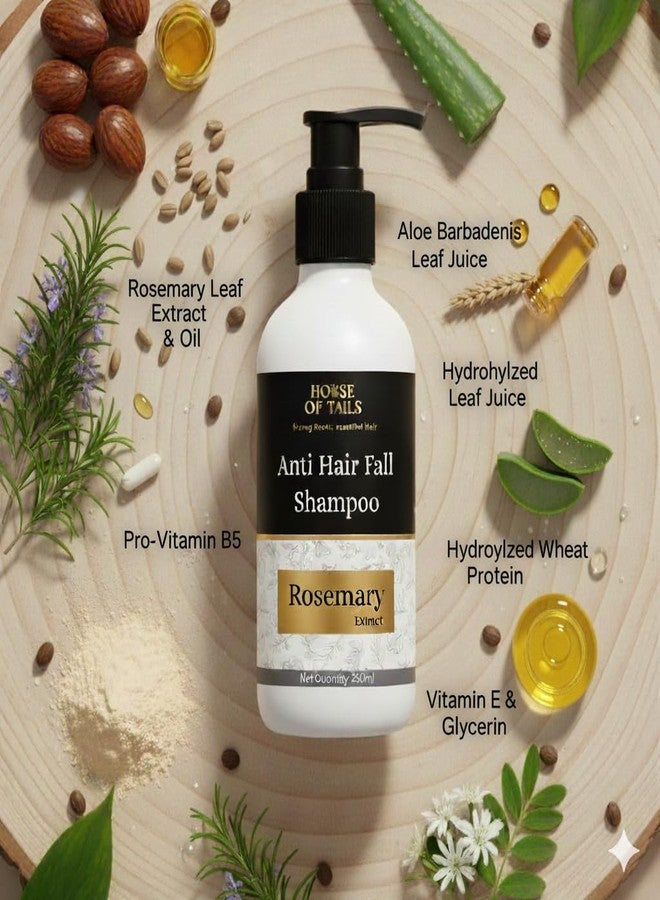 House of Tails Anti Hairfall Shampoo for Dry & Frizzy Hair | Strengthens & Boosts Hair Growth | Rosemary Extract & Oil, Pro-Vitamin B5, Wheat Protein, Aloe & Vitamin E | Gentle Sulphate-Free Base | For Men & Women | 500 ml - Image 3