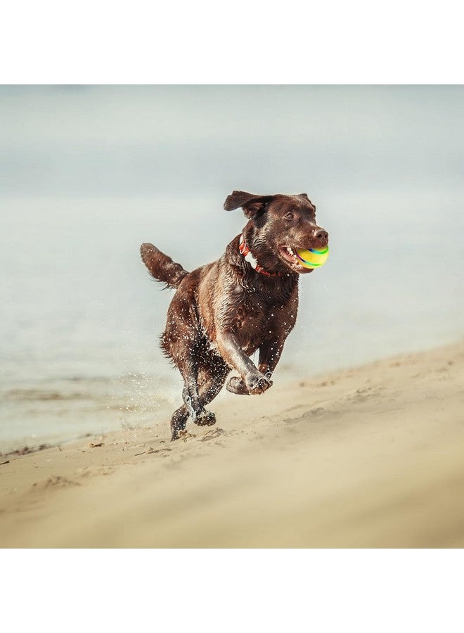 Interactive Pet Automatic Ball Toys for Dogs Yellow Lighted Dog Ball Toys with Remote and Chew Toy for Small and Large Dogs - Image 5