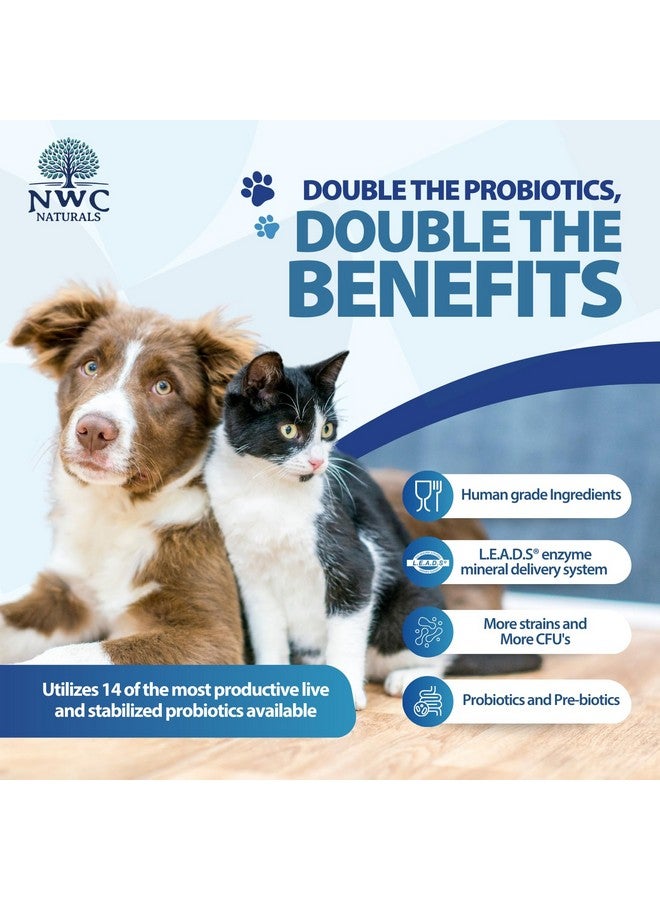 NWC Naturals Total-Biotics, Cat & Dog Probiotics for Digestive Health with Prebiotic, Unflavored Probiotic for Dogs & Cats, Supplement for Gut, Skin, Coat, Upset Stomach Relief, 365 Servings, 8 Ounces - Image 5