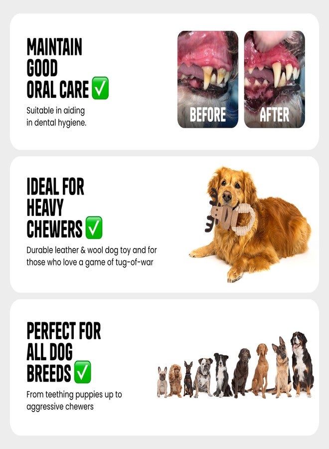لعبة أوي بارك الجلدية للكلاب على شكل موس، مصنوعة يدويًا من الجلد، لعبة مضغ للكلاب مع حبل، لعبة للمضغ والشد واللعب، لعبة تسنين للجراء. - Image 4