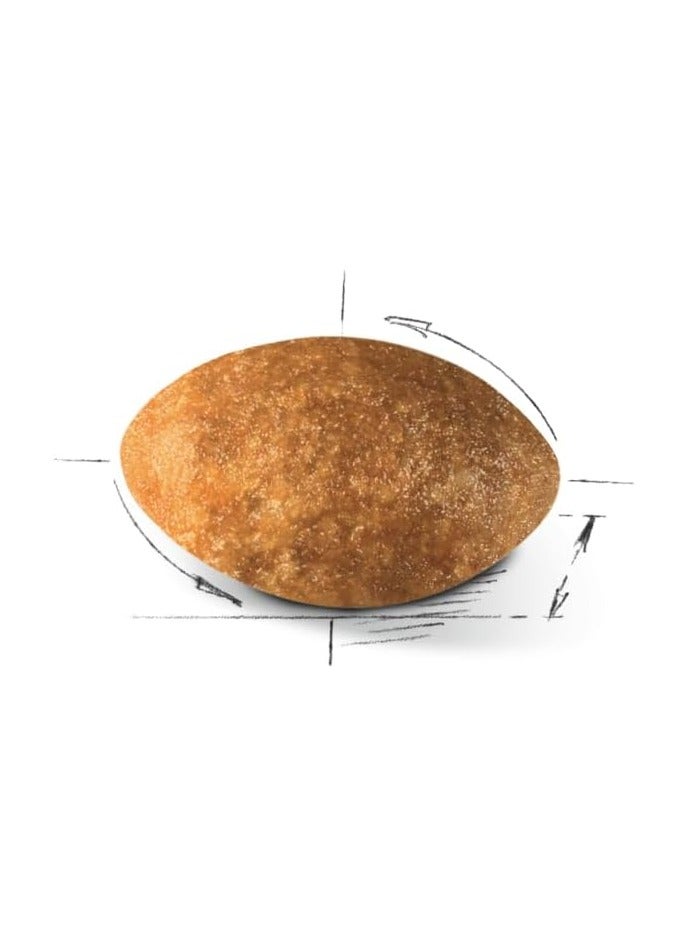 رويال كانين غذاء رويال كانين للقطط الفارسية البالغة 2 كجم - Image 3