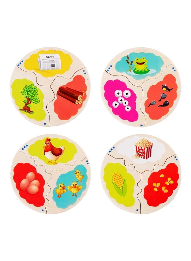 NIBEMINENT 12-Piece Evolution Growth Puzzle Set