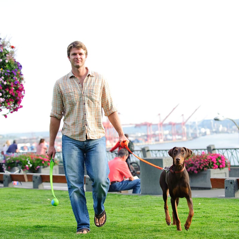 Chuckit! Dog Ball Launcher - Junior 18" with Medium (2.5"), Dog Fetch Ball Thrower, For Dogs 20-60 Pounds, Made in USA - Image 2