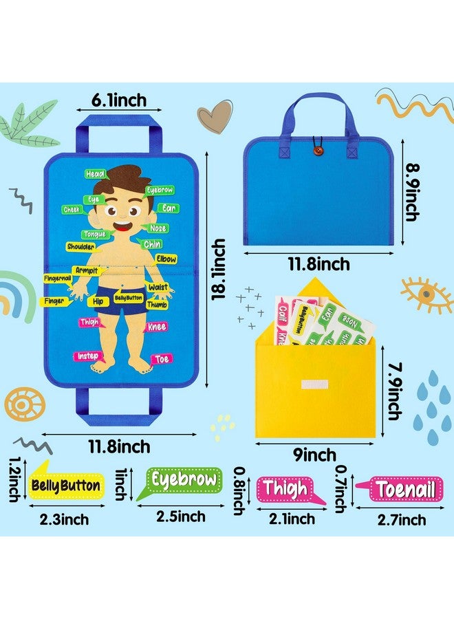 WATINC 32Pcs Body Parts Learning Portable Felt Story Board Set, Preschool Human Organ Educational Teaching Storytelling Travel Board, Flannel Early Interactive Play Kit Christmas Gift for Toddlers Kid - Image 2