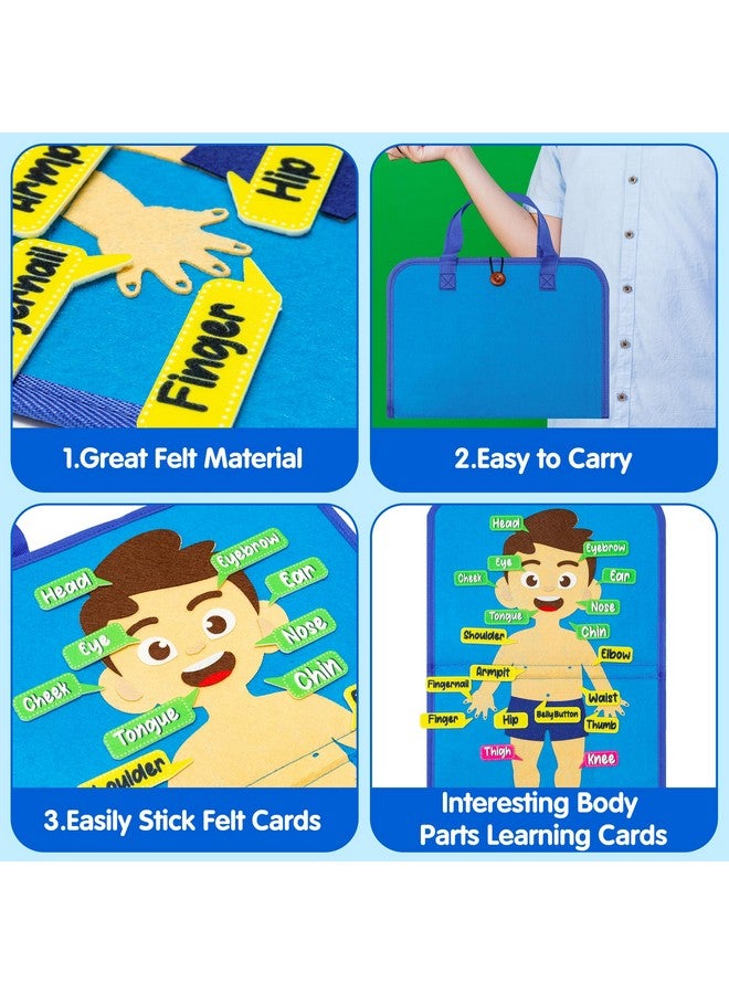 WATINC 32Pcs Body Parts Learning Portable Felt Story Board Set, Preschool Human Organ Educational Teaching Storytelling Travel Board, Flannel Early Interactive Play Kit Christmas Gift for Toddlers Kid - Image 3