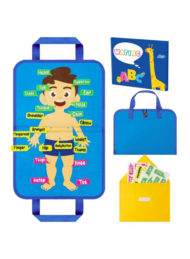 WATINC 32Pcs Body Parts Learning Portable Felt Story Board Set, Preschool Human Organ Educational Teaching Storytelling Travel Board, Flannel Early Interactive Play Kit Christmas Gift for Toddlers Kid - Image 1