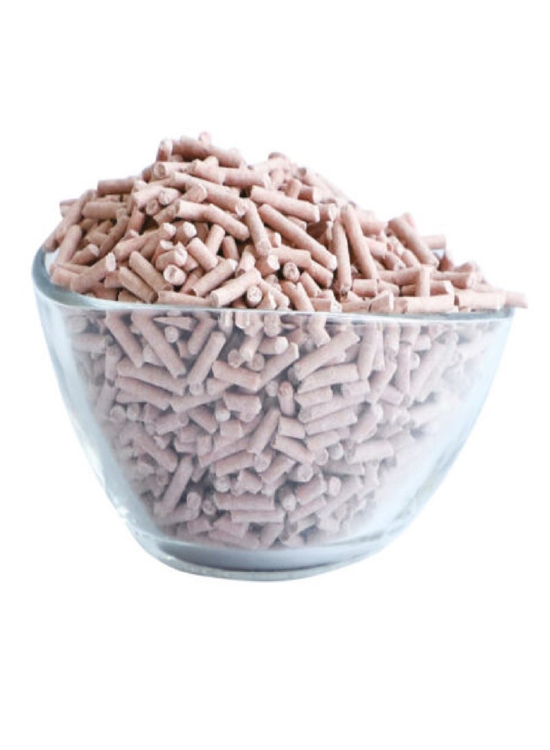 كيت كات فضلات فول الصويا من كيت كات – لون بني 7 لتر (علبة واحدة – 6 قطع) - Image 3