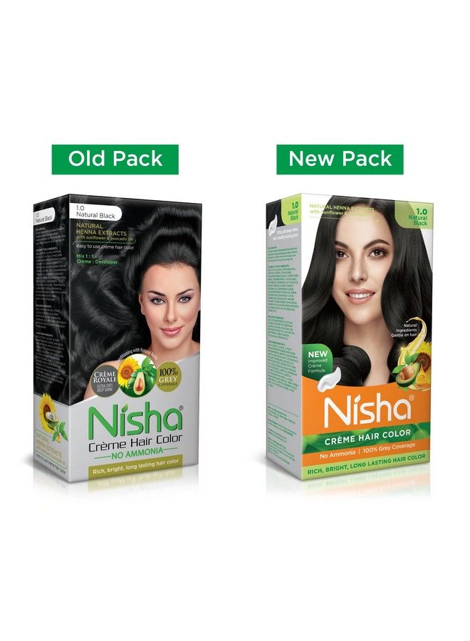 Nisha صبغة شعر خالية من الأمونيا 60 جرام + 60 مل ظل أسود 1.0 (عبوة من 2)  - Image 3