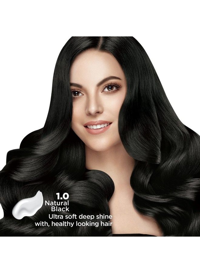 Nisha صبغة شعر خالية من الأمونيا 60 جرام + 60 مل ظل أسود 1.0 (عبوة من 2)  - Image 4