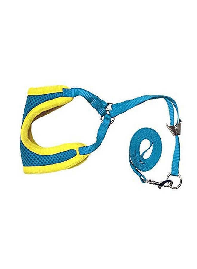 سترة مبطنة مريحة من شبكة ناعمة قابلة للتعديل مع مجموعة مقود للكلاب الصغيرة والقطط والأرانب والجراء (قد يختلف اللون) - Image 1