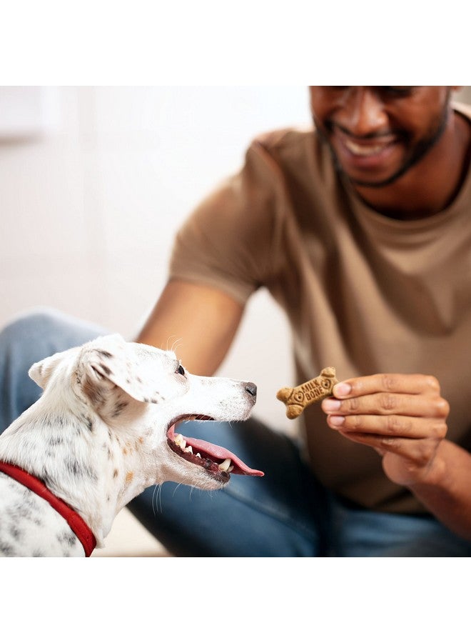 MILK-BONE Milk-Bone Flavor Snacks Dog Treats, Small Biscuits, 24 Ounce Crunchy Texture Helps Reduce Tartar  - Image 4