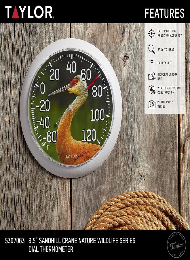 Taylor Nature Series Sandhill Crane Indoor Outdoor Dial Thermometer, Easy to Read Wall Decor for Patio, Pool, Yard, Garden or Garage, 8.5 Inch, Gray Bezel - Image 2