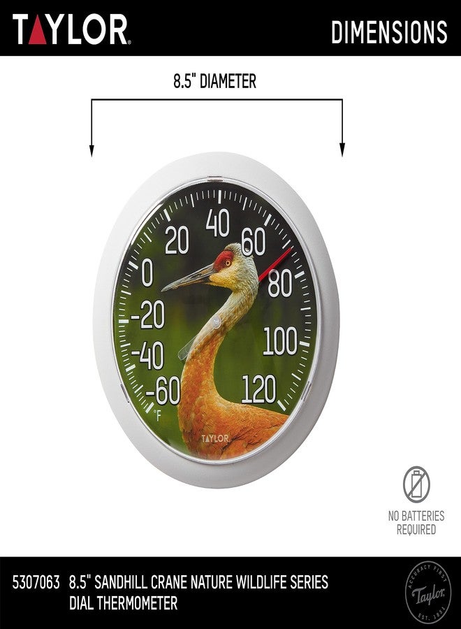 Taylor Nature Series Sandhill Crane Indoor Outdoor Dial Thermometer, Easy to Read Wall Decor for Patio, Pool, Yard, Garden or Garage, 8.5 Inch, Gray Bezel - Image 4