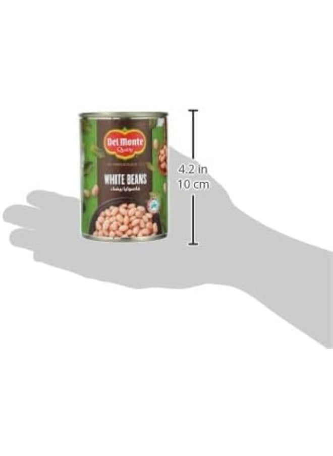 Del Monte - Del Monte White Beans - 400 Gm - Image 1