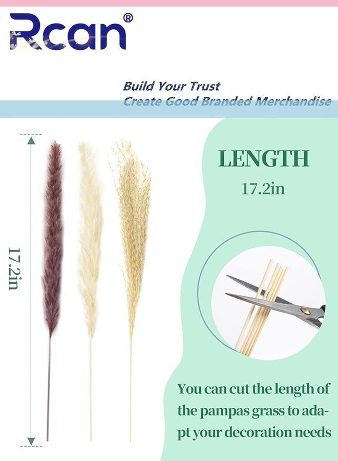 Rcan Natural Dried Pampas Grass Bouquet - 60 Pieces, Fluffy Boho Home  Decor - Image 5