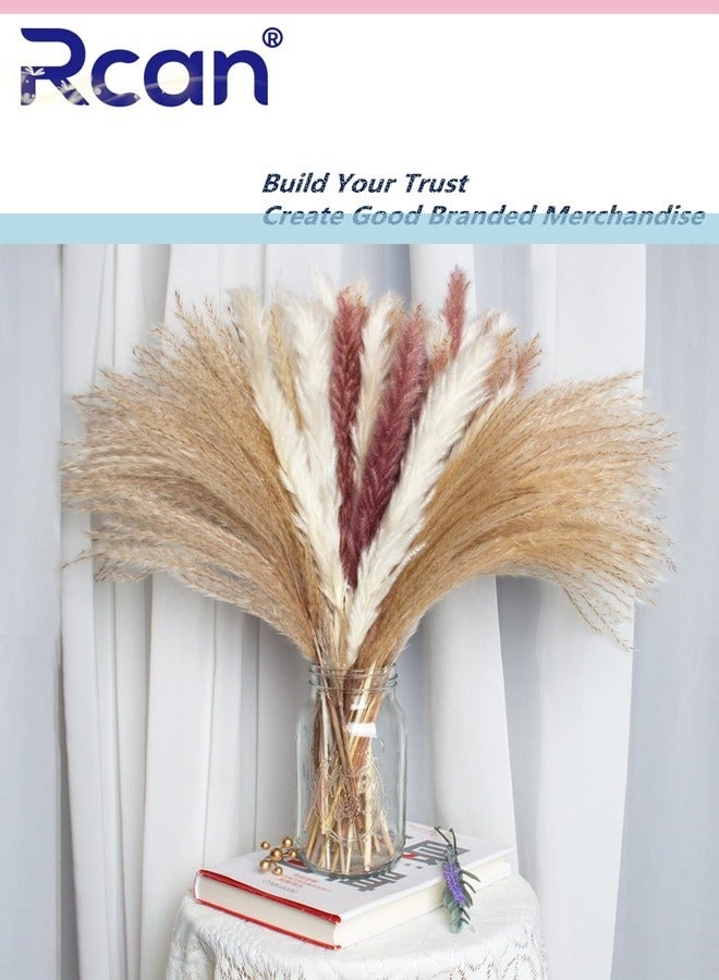 Rcan Natural Dried Pampas Grass Bouquet - 60 Pieces, Fluffy Boho Home  Decor - Image 1
