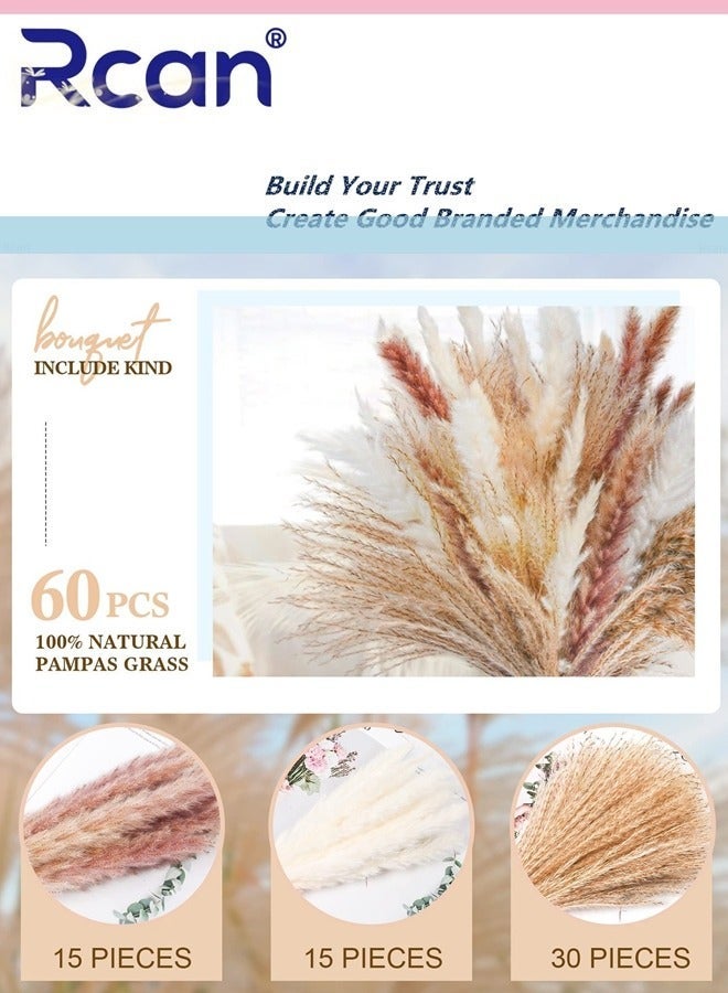 Rcan Natural Dried Pampas Grass Bouquet - 60 Pieces, Fluffy Boho Home  Decor - Image 2