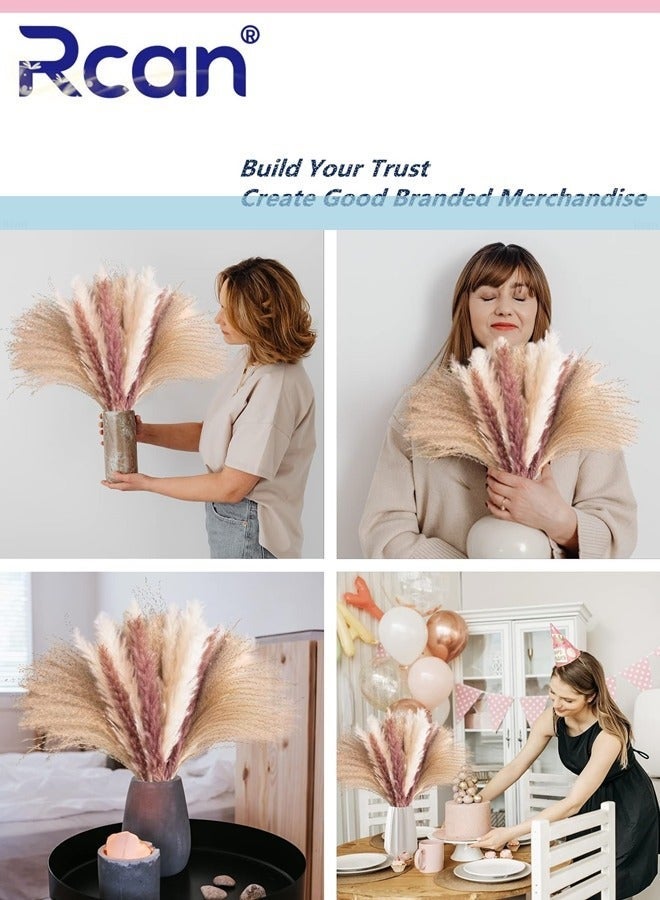 Rcan Natural Dried Pampas Grass Bouquet - 60 Pieces, Fluffy Boho Home  Decor - Image 4