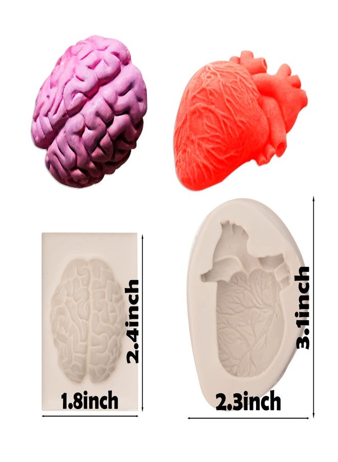 Xcake Lcook 3D Human Heart Silicone Fondant Molds, Halloween Brain Shape Candy Chocolate Molds for Chocolate Cake Decoration Dessert Soap - Image 2