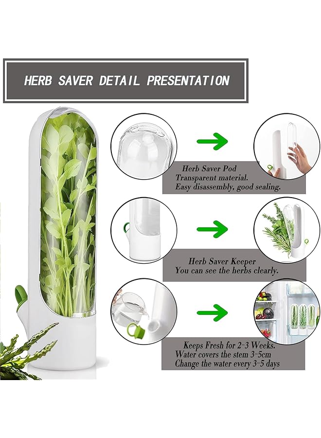 Excefore Herb Saver Pod, 3 Pcs Herb Keeper For Refrigerator, Cilantro Containers For Refrigerator, Vegetable Preservation Bottle, Fresh Keeper For Cilantro, Asparagus, Lettuce, Keeps Vegetables For 2 3 Weeks - Image 4