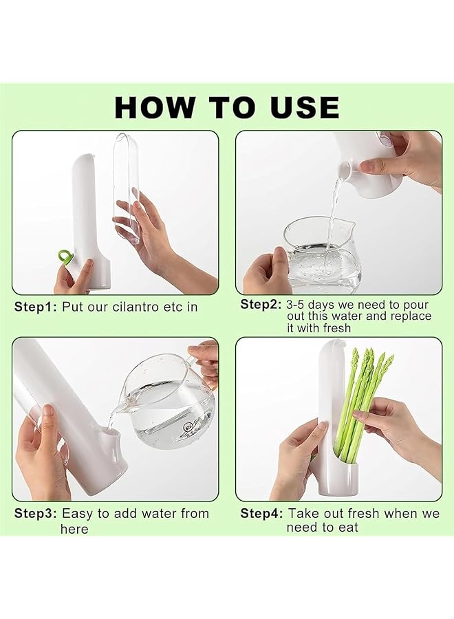 Excefore Herb Saver Pod, 3 Pcs Herb Keeper For Refrigerator, Cilantro Containers For Refrigerator, Vegetable Preservation Bottle, Fresh Keeper For Cilantro, Asparagus, Lettuce, Keeps Vegetables For 2 3 Weeks - Image 3