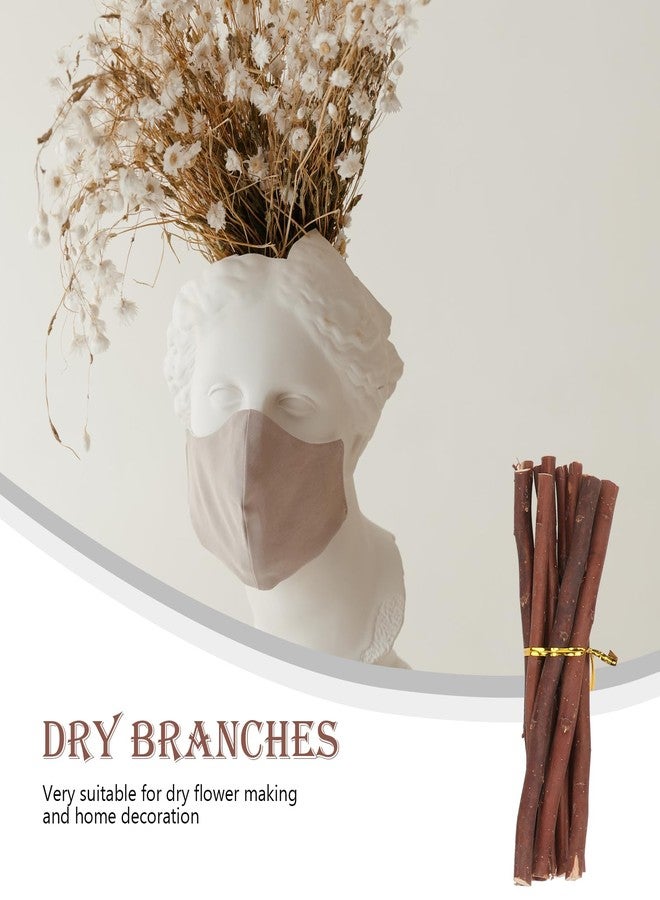 VICASKY 40pcs Wood Log Sticks for Crafting,5.91-15.75in Long Natural Twigs Birch Wooden Small Craft Sticks for DIY Photo Props Card Making Diorama Materials - Image 2