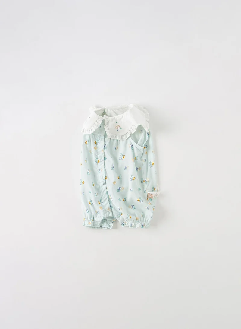 ديف اند بيلا رومبير صدف