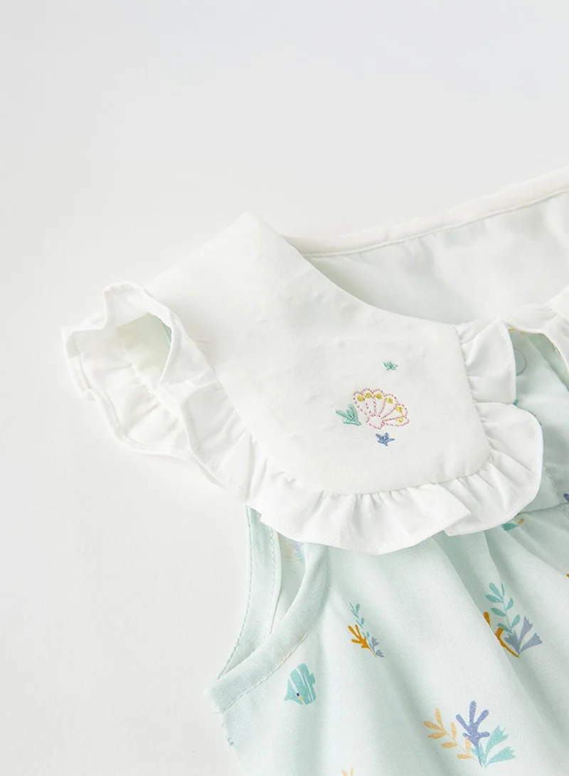 ديف اند بيلا رومبير صدف