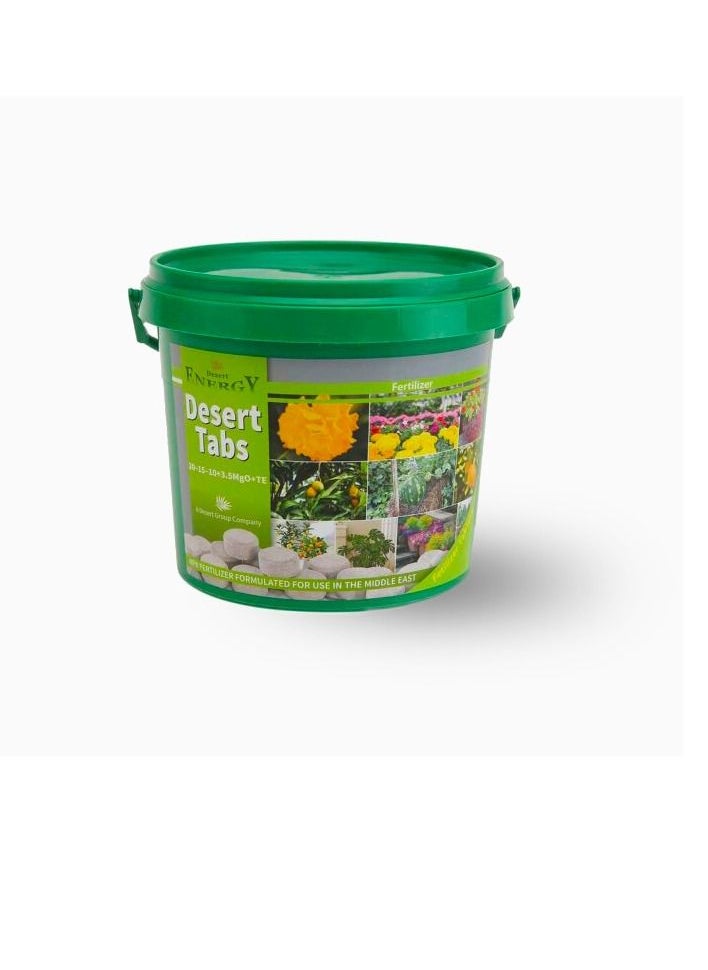 DESERT ENERGY - Eco Lab Desert Energy Desert Tabs 10gm*100 no 1 kg - Image 1