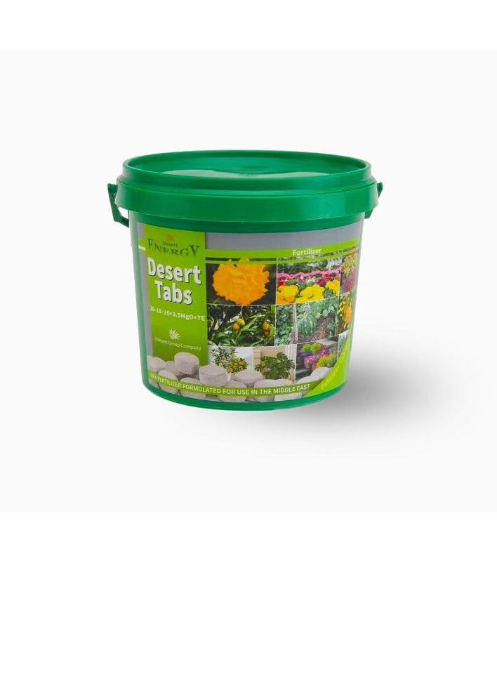 DESERT ENERGY - Eco Lab Desert Energy Desert Tabs 10gm*100 no 1 kg - Image 1